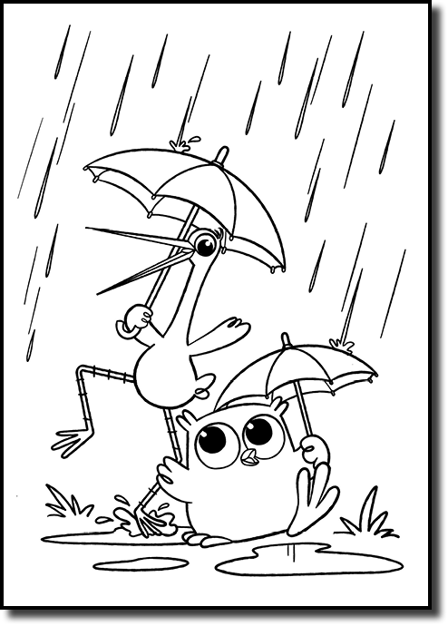 Rain